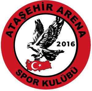 Ataşehir Arena Spor Kulübü